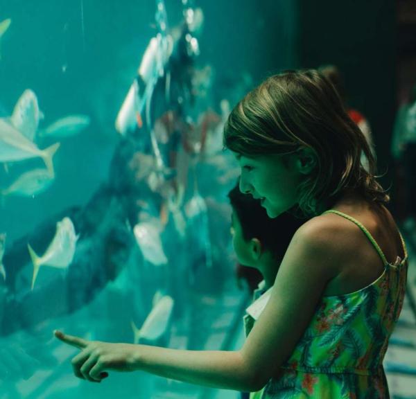 Nordsøen Oceanarium