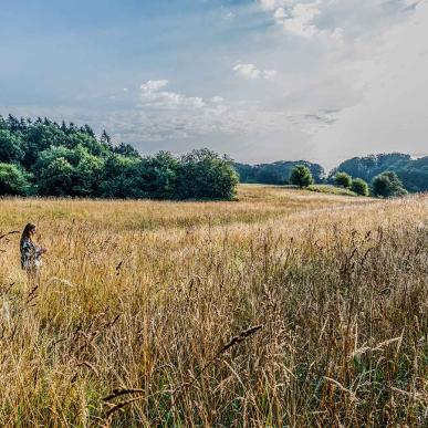 Jyske Ås i Nordjylland