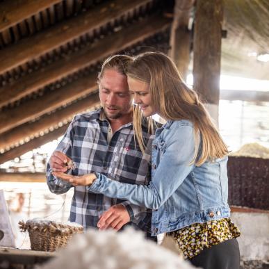 Læsø saltsyderi