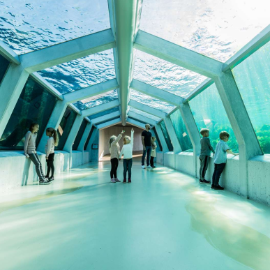 Undervands tunnel v.  Nordsøen Oceanarium 