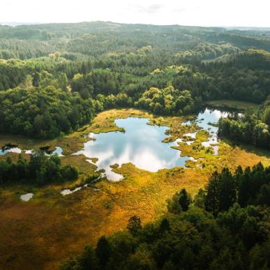 Natur i Nordjylland