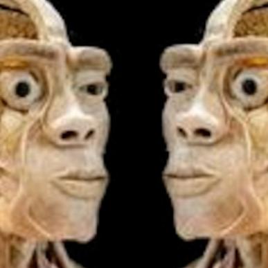 Real Human Bodies
