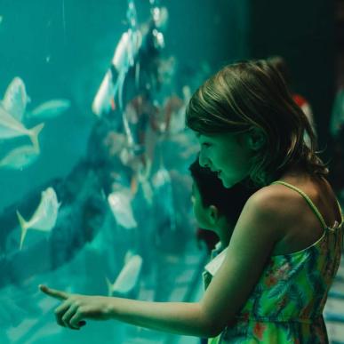 Nordsøen Oceanarium