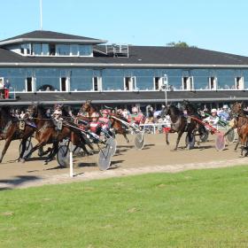 Travheste på banen ved Racing Arena Aalborg