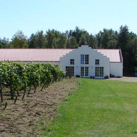 Heden Vingård