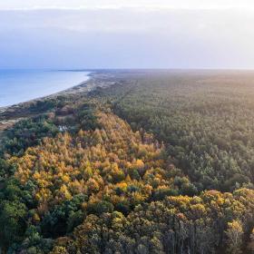 Skov og kyst på Læsø