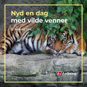 Kampagne for 1dagsturister, Aalborg Zoo
