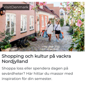 Sverige Kampagne, Shopping i Aalborg