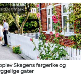 Norge Kampagne, Skagens farverige gader