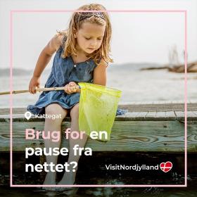 Kampagne Fællesvækst, Pige med net