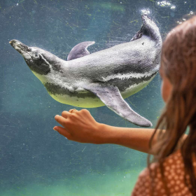 Aalborg Zoo