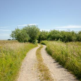 Vej mod stranden (ved Elling Å)