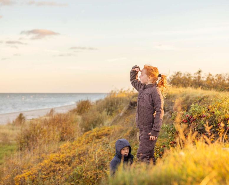 Piger der kigger ud over havet
